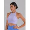 imageSunzel Ribbed Tank Tops for Women Halter High Neck Seamless Cute Crop Top Basics Sleeveless Workout Athletic Yoga ShirtsClassic Bluelilac Crop 2 Pack